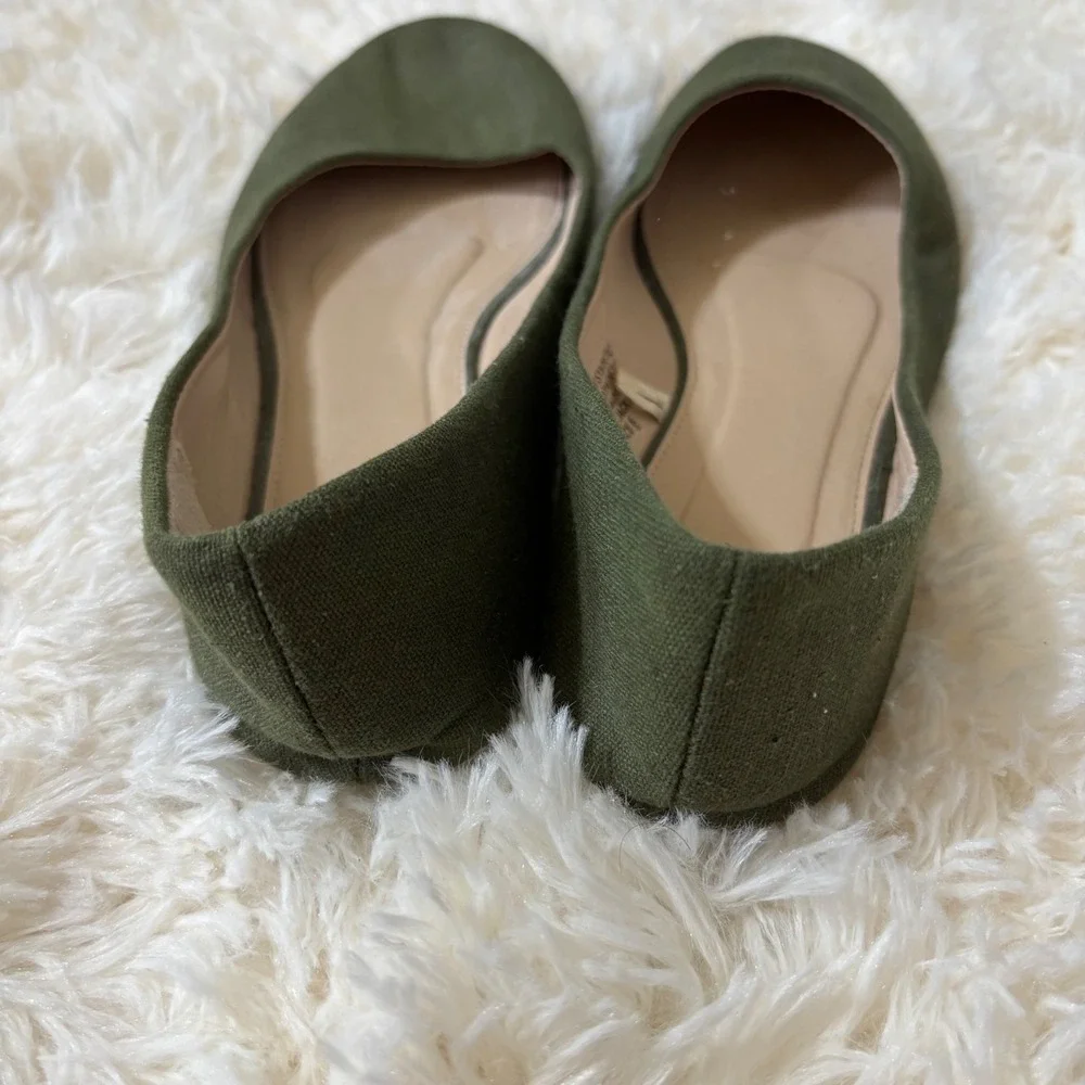 Sociology olive green